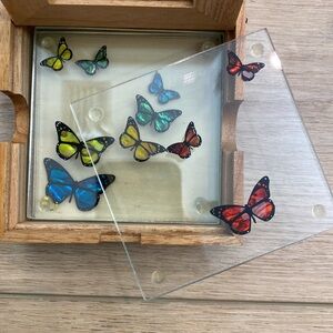 Smashing Glass NZ Abalone Butterfly‎ Glass Coasters Modern Boho Chic With Box